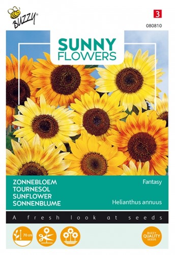 Dwarf Sunflower Fantasy - Sunny Flowers