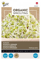 Alfalfa sprouts / Lucerne BIO - Buzzy Organic Sprouting
