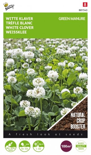Green Manure Crop White Clover / 100 gr - 100 m2