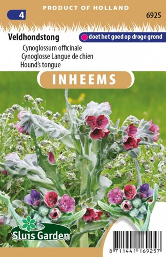 Hound's Tongue - Cynoglossum officinale