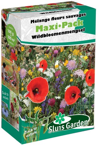 Meadow Flower Seed Mix Wild - Maxi Pack Sluis Garden
