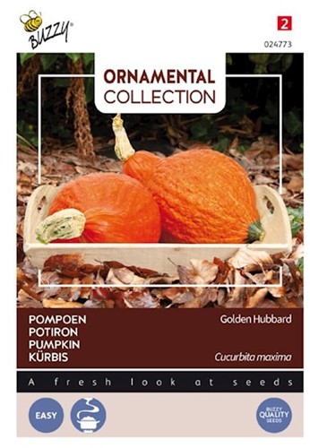 Pumpkin Golden Hubbard - Ornamental Collection