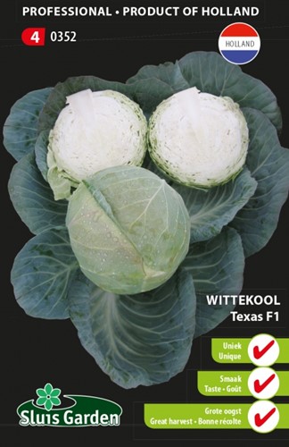 White Cabbage Texas F1 PRO