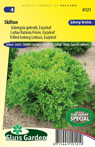 Lettuce iceberg frilled Skilton (eazyleaf)
