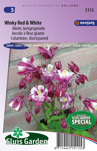 Columbine Winky Red & White, shortspurred - Aquilegia