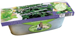 Kit Green Mint