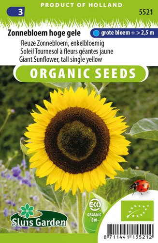 Sunflower tall single yellow EKO