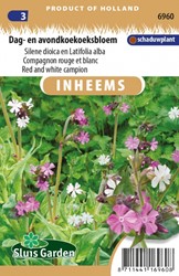 Red and White Campion - Silene