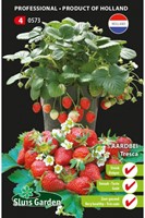 Strawberry Tresca - Fragaria