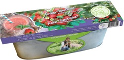Kit Strawberry Temptation