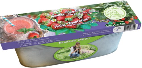 Kit Strawberry Temptation