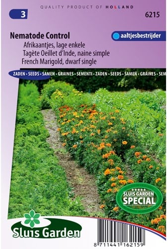 Marigold, French dwarf single Nematode control - Tagetes