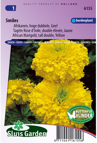 African Marigold Smiles - Tagetes