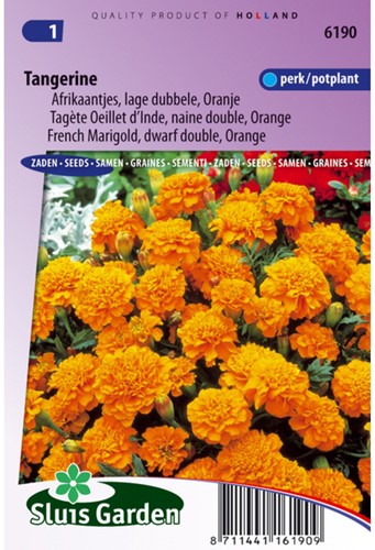 Afrikaantjes zaden Tangerine - Tagetes