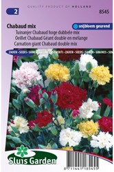 Anjer Chabaud Mix - Dianthus Chabaud