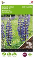 Green Manure Crop Blue Lupine / 100gr -10 m2