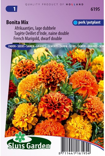 Marigold Bonita Mix - Tagetes