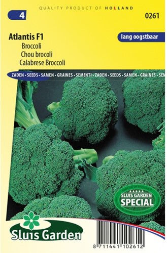 Calabrese Broccoli Atlantis F1
