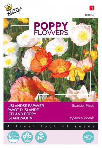 Iceland Poppy Excelsior - Poppy Flowers
