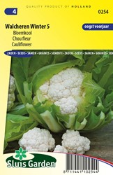 Cauliflower Walcheren Winter 5