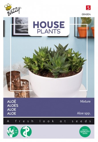 Aloe Mixture - Buzzy House Plants