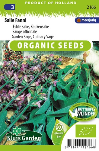 Garden Sage, Culinary Sage, Fanni EKO
