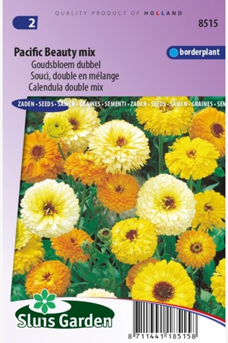 Pot Marigold double Pacific Beauty mix - Calendula