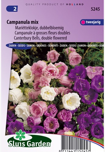 Canterbury Bells medium Double Mix - Campanula mix