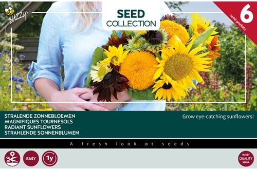 6 Radiant sunflowers – Buzzy Collection