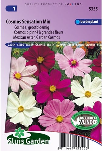 Mexican Aster, Garden Cosmos Sensation Mix
