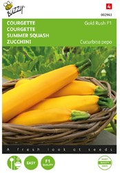 Summer squash Gold Rush F1 - Cucurbita pepo