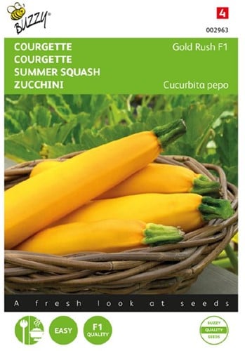 Summer squash Gold Rush F1 - Cucurbita pepo