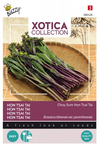 Coy Sum Hon Tsai Tai - Xotica Collection