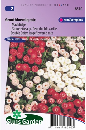 Double Daisy, largeflowered mix – Bellis Perennis