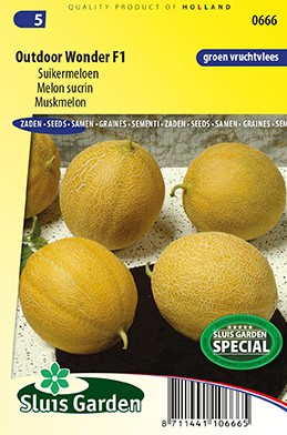 Muskmelon Outdoor Wonder F1 (Cucumis melo)