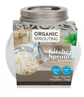 Organic Sprouting glass pot - Mung Beans