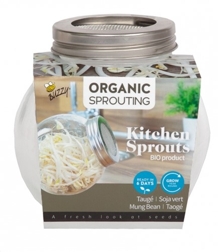 Organic Sprouting glass pot - Mung Beans