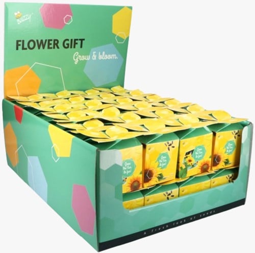 Buzzy Flower Gift (48x) Sunflower - Helianthus (Display 48x)