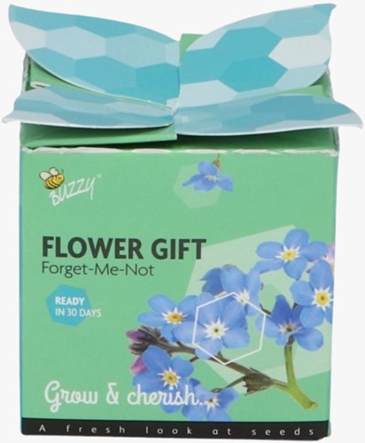Flower Gift Forget-me-not Myosotis. (1 gift box)
