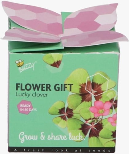 Buzzy Flower Gift Lucky Clover - Trifolium repens. 1 gift box.