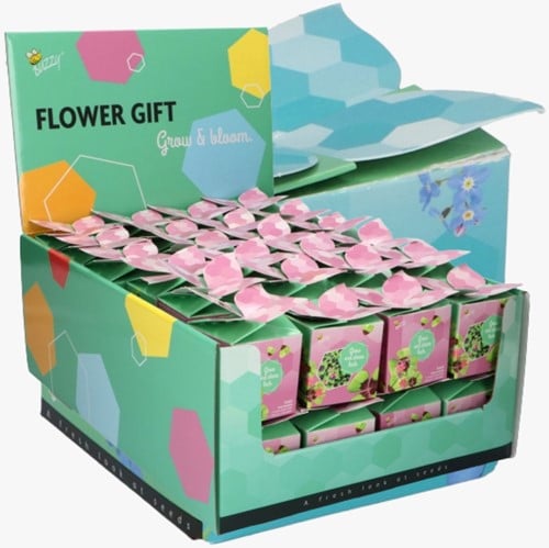 Buzzy Flower Gift Lucky Clover – Trifolium repens. Display with 48 gift boxes