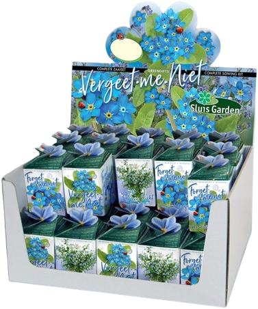 Greengift Forget-me-not 40 pcs in showbox