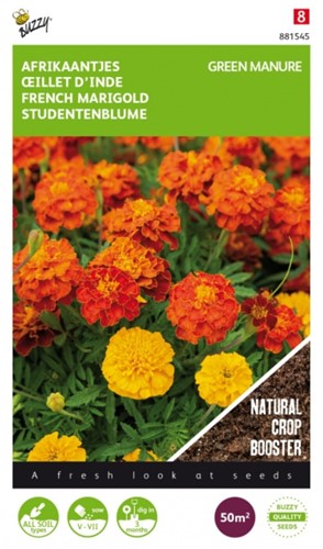 Green Manure Crop Marigold (Tagetes) / 50 gr - 50 m2