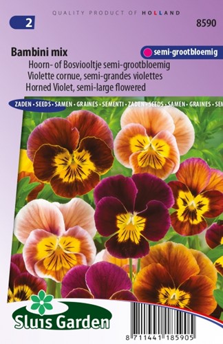 Horned Pansy Bambini Mix – Viola Cornuta