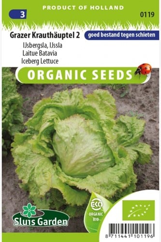 Iceberg Lettuce Grazer Kauthäuptel 2 EKO