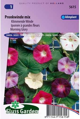 Morning glory Choice Mix - Ipomoea