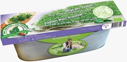 Kit Cress Cresso ORGANIC