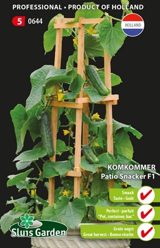 Cucumber Patio Snacker F1