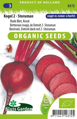 Beetroot, Red Gardenbeet Detroit dark red 2 Storuman EKO