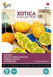 Horned melon Kiwano - Xotica Collection